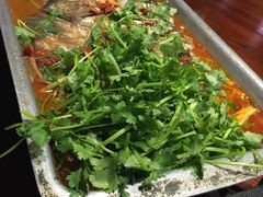 -天怡·鱼工厂(梅溪湖店)