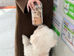 -瑞鹏宠物医院·超声·骨科·奇麟分院(蜀都万达店)