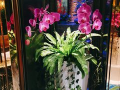 -润园四季椰子鸡火锅(海上世界店)