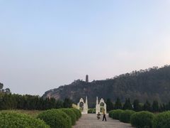 -南沙蒲洲花园