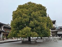 -香积寺