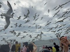 -海驴岛(荣成市)