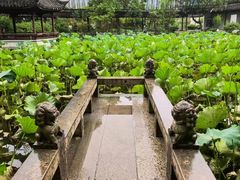 -上海醉白池公园