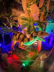 -恐龙探索乐园(磁器口店)