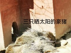 -青藏高原野生动物园