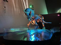 -墨尔本博物馆(Melbourne Museum)