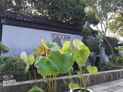 -苏州东山雕花楼宾馆