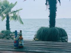 -上海美帆帆船露营基地