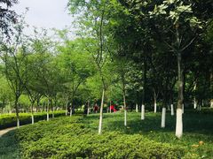 -龙头寺公园