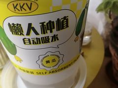 -KKV(上海月星环球港主力店)