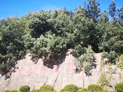-长虫山生态公园风景林