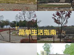 -盘龙城国家考古遗址公园