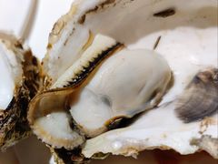 炭烧生蚝-四海一家自助餐(益田假日广场店)