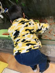 -卡通尼·Safari非洲探索乐园·生日会(金桥国际商业广场店)