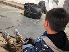 -西安秦岭野生动物园