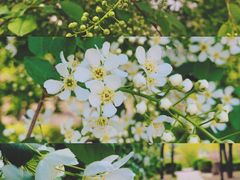 -长春公园(普阳街道)