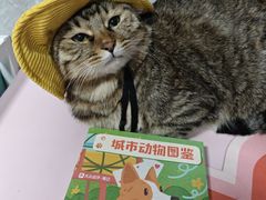 -瑞虹新天地月亮湾