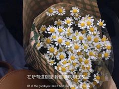 -院子餐厅·大锅菜·老杭帮(桥西直街店)