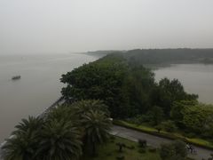 -大湾区中央湿地公园