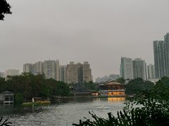 -荔湾湖公园