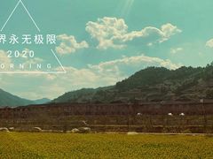 -福建土楼（华安）旅游区•大地土楼群