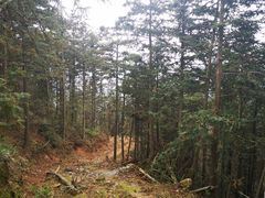 -木兰云雾山