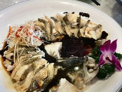 -博雅渔港·融合菜(维也纳国际大酒店)