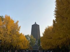 -玲珑塔公园