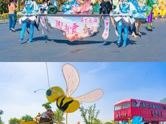 -荷兰花海