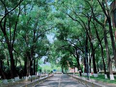 -四川大学(望江校区)