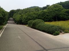 -南京市江宁方山