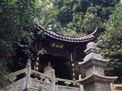-十八棵（老龙井）御茶园(老龙井店)