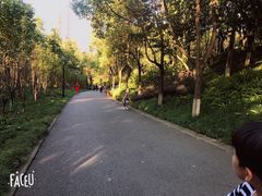 -重庆彩云湖湿地公园