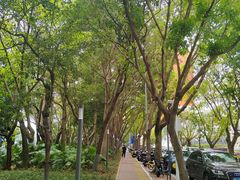 -深圳国际园林花卉博览园