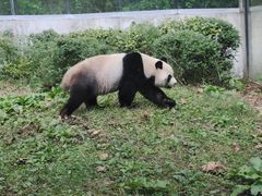-黔灵山公园