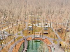 -黄海国家森林公园