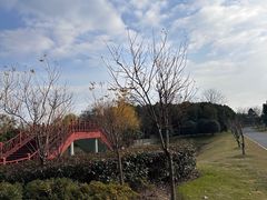 -尚贤河湿地