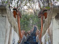 -西双版纳原始森林公园