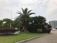 -上海第二工业大学(金海路校区)