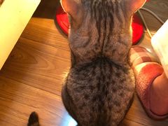 -书亦烧仙草(隆鑫九熙店)