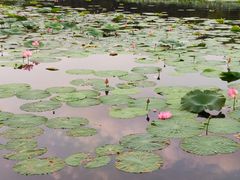 -长春市南湖公园