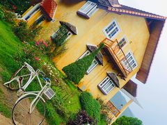 -黄色小屋