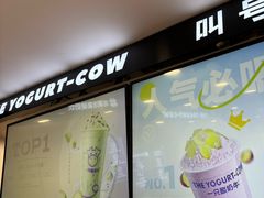 -一只酸奶牛(洪崖洞11楼店)