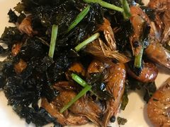 -WILDS 野有食(碧坞店)