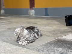 -龙华寺