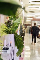 -AKOZO Beauty Salon