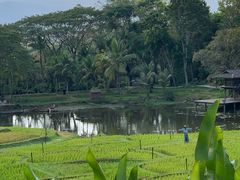 -四季酒店下午茶