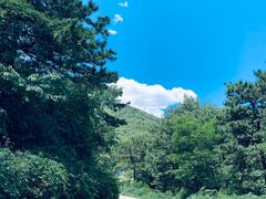 -北京西山国家森林公园