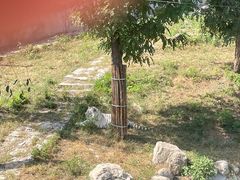 -石家庄市动物园