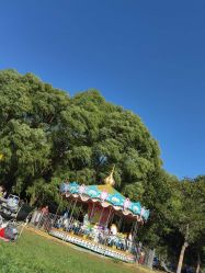 -大美儿童世界(奥林匹克水上公园店)